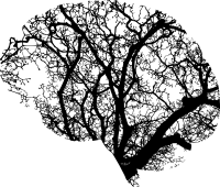 Demência Vascular