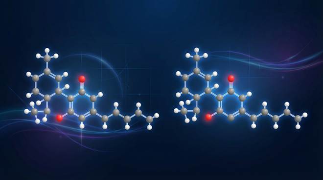 Tratamento da Demência